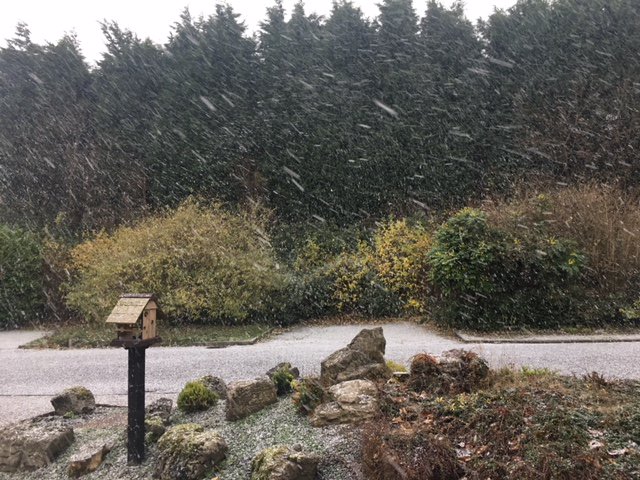 Our turn! snowfall is quite heavy. take care if you're out and about ❄️🧣🧤