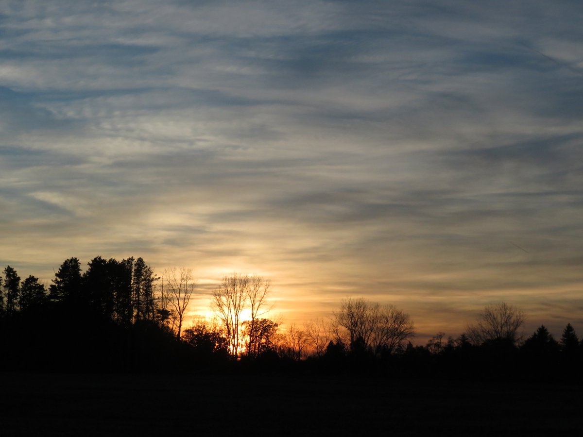 PLKlein_Author's tweet photo. "The cleverest of them all, in my opinion, is the man who calls himself a fool at least once a month." ~#FyodorDostoevsky #QuickQuotes #Cleverest #Fool https://t.co/rkehEC9ySc