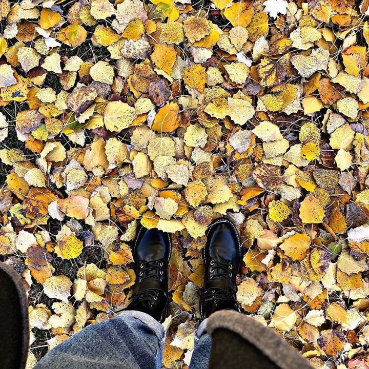 EresPioCCa's tweet photo. OTOÑO EN MADRID 🍁🍁🍁🍁🍁 #piocca https://t.co/mR4msQvc9e https://t.co/6WD5bztorw