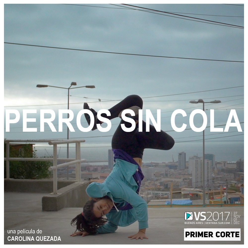 NieblaProd's tweet photo. ¡Toda la energía apuntando a @VentanaSur donde Yeni Fasciani representa a #PerrosSinCola de Carolina Quezada en sección Primer Corte y a Puerto Montt donde Víctor Silva e Ignacio Ruiz presentarán por primera vez #Descansar! https://t.co/FKSNapUrc4