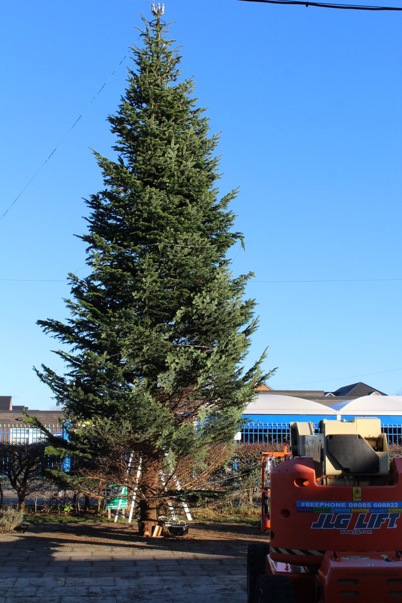 WL_Hospice's tweet photo. A beautiful day to put up our tree for Light for a Life. This year it takes place on Tuesday, Dec 5th, from 6.30pm at the hospice. All welcome https://t.co/WHce17OskP