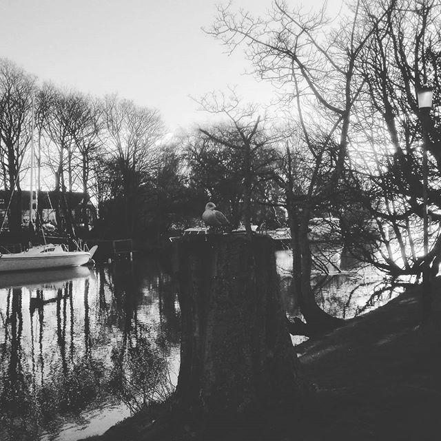 Photo by brasileirosnoreinounido #englandlandscapes #angleterre zpr.io/Kymh