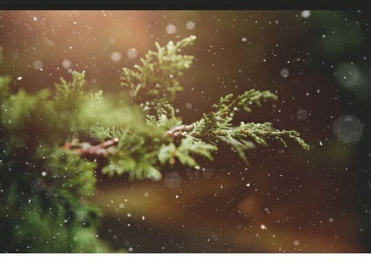Hello December 💜💜💜.... treat me well.....