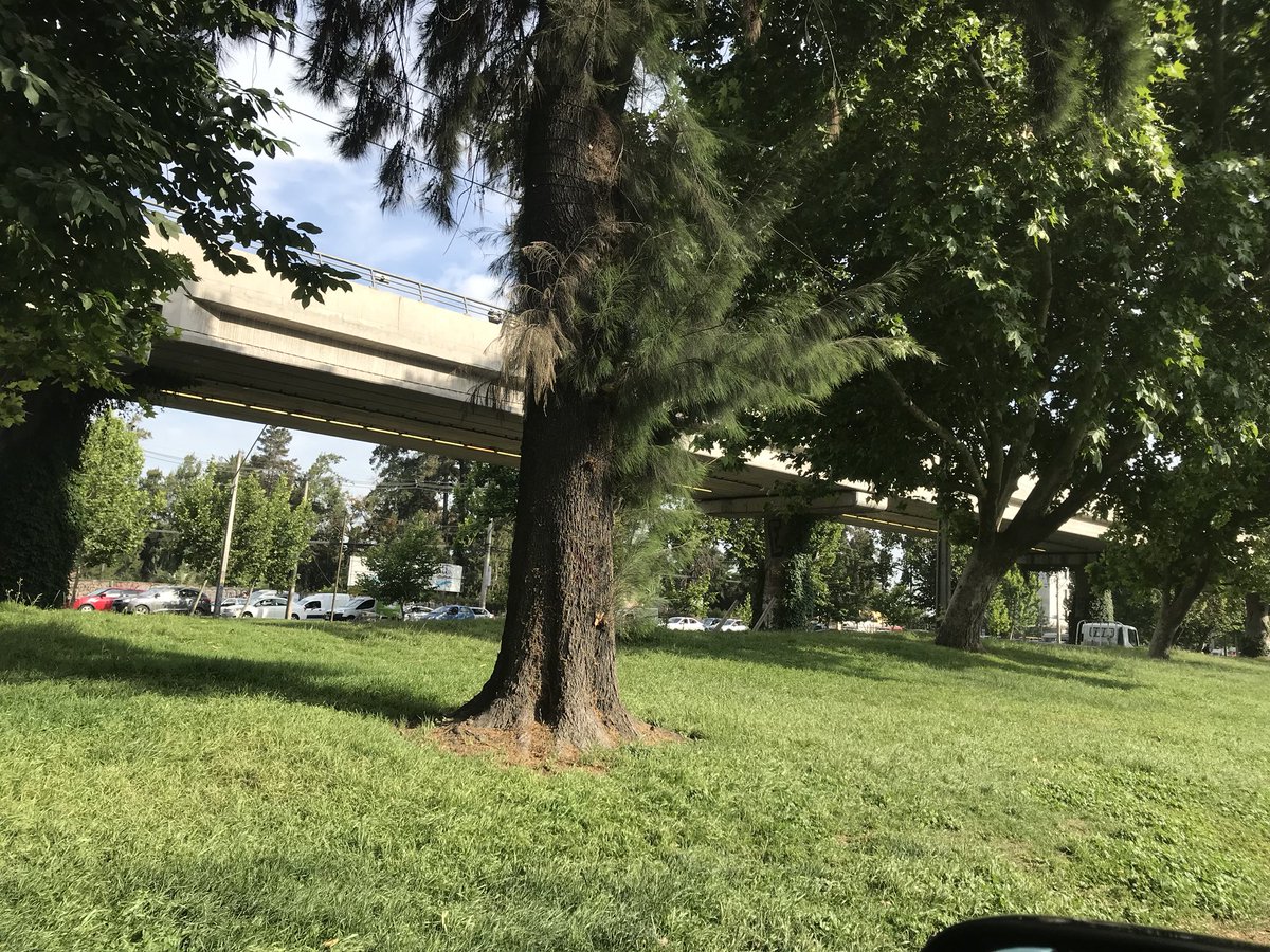 isa_reyes90's tweet photo. Esta la caga x pajaritos ambos sentidos !!! 🤬🤬 buscar rutas alternativas https://t.co/mOuFfXFIDf