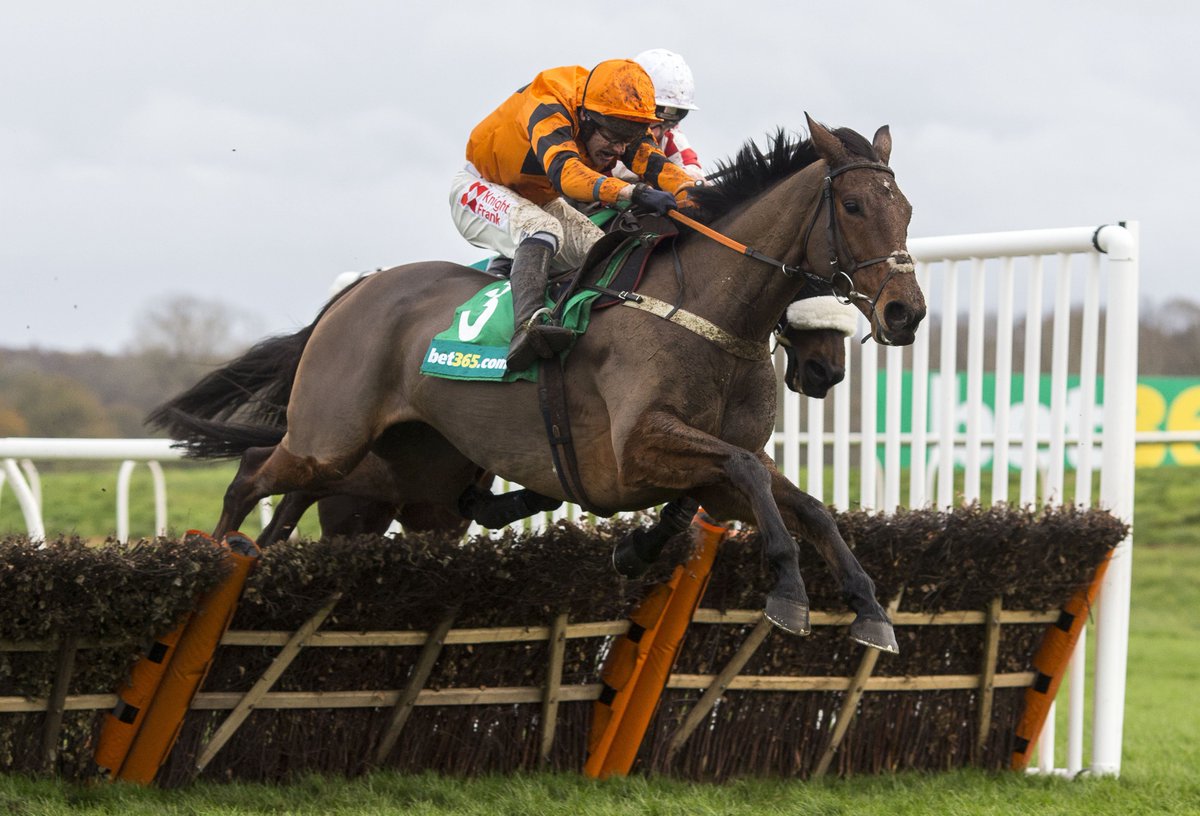 Newbury Racecourse tweet media