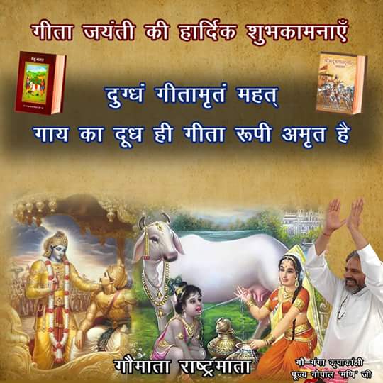 Ratansingh (@ratansi29498432) on Twitter photo 