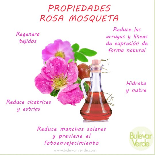 Bulevar_Verde's tweet photo. ¿Conoces todas las Propiedades de la #RosaMosqueta? Todos nuestros artículos con este fantástico aceite aquí ►►   https://t.co/FjEDuGbFzH https://t.co/3wd6o4CVMA