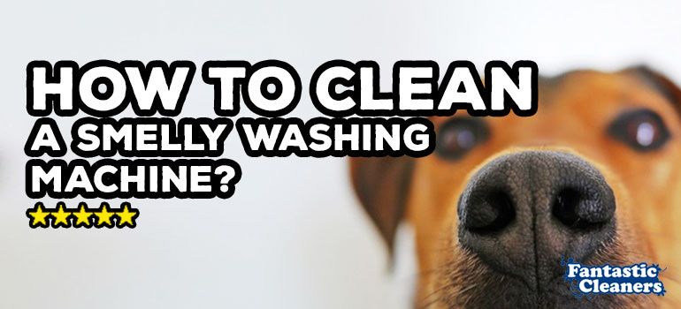 Fantastic Cleaners tweet media