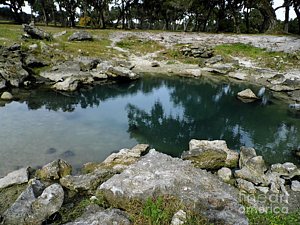 dhackett4150's tweet photo. #sink #bluesink #reflections #cenote #cenotes #krast #grotto #springwater #freshwater #florida #dhackett https://t.co/DWGdBMfgky https://t.co/ZMR8WGL75S