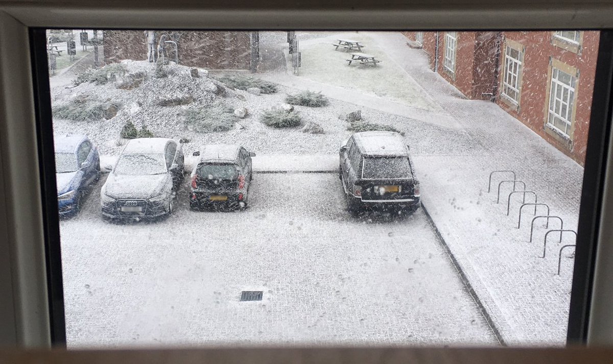 Pilotwise's tweet photo. Well everyone else is doing it so we might as well too, picture from our office #snowyork #christmasfeeling https://t.co/uwmv5HyDvZ