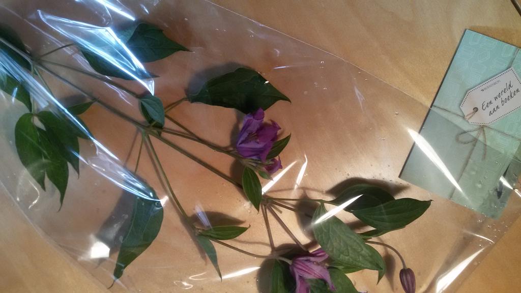 marvre14's tweet photo. Bloemen &amp; toespraak bij (mijn)afscheid van de OR-TUDelft. Hmmm,overwegingen daarbij via FB:
https://t.co/ofJH69kABp https://t.co/kbT9DiR3da