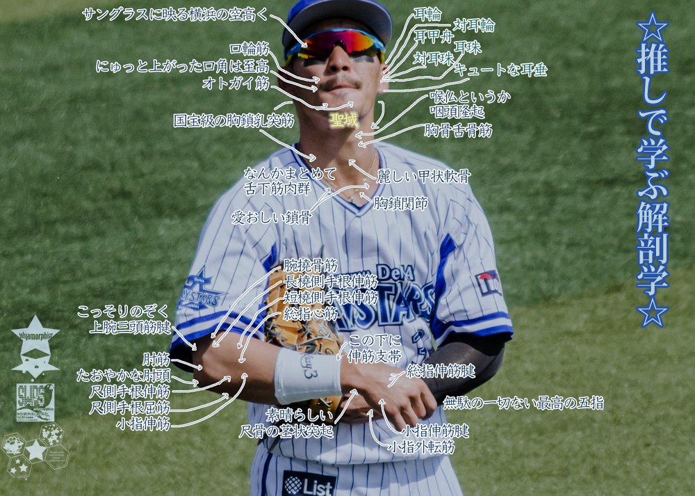 めいこ Polyamorphism 17年11月 Twilog