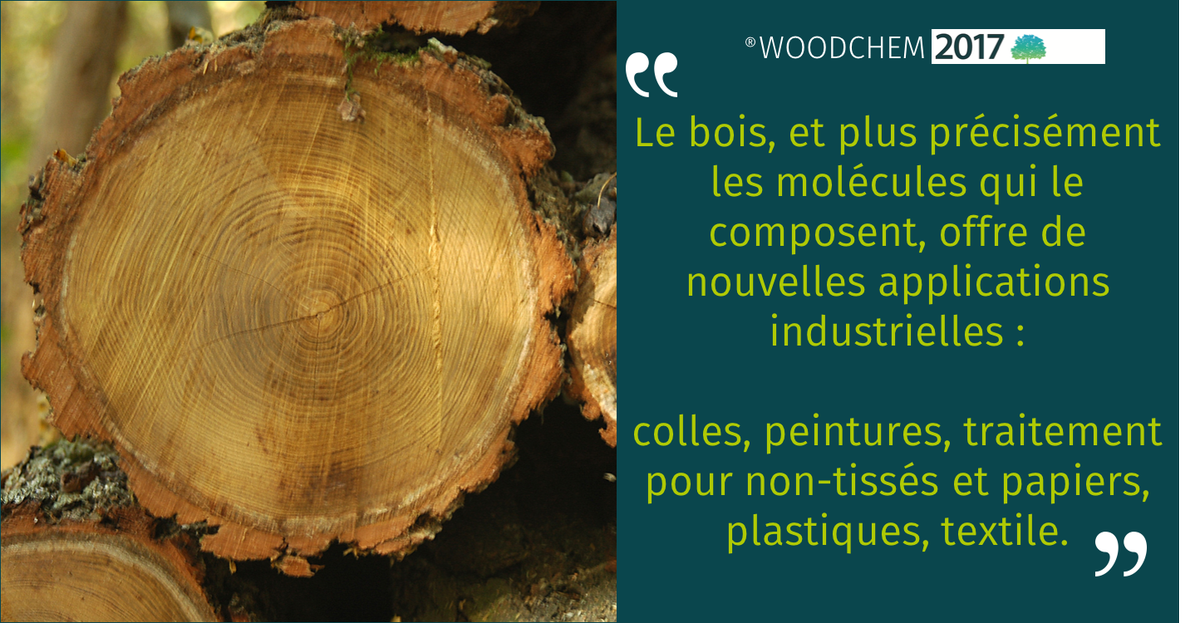 woodchem2019's tweet photo. 🌲J-6 🌲  
Découvrez la nouvelle newsletter de #Woodchem ! https://t.co/BpzKVZ7jdl #chimie #bois #innovation https://t.co/2BxhVQ90sD