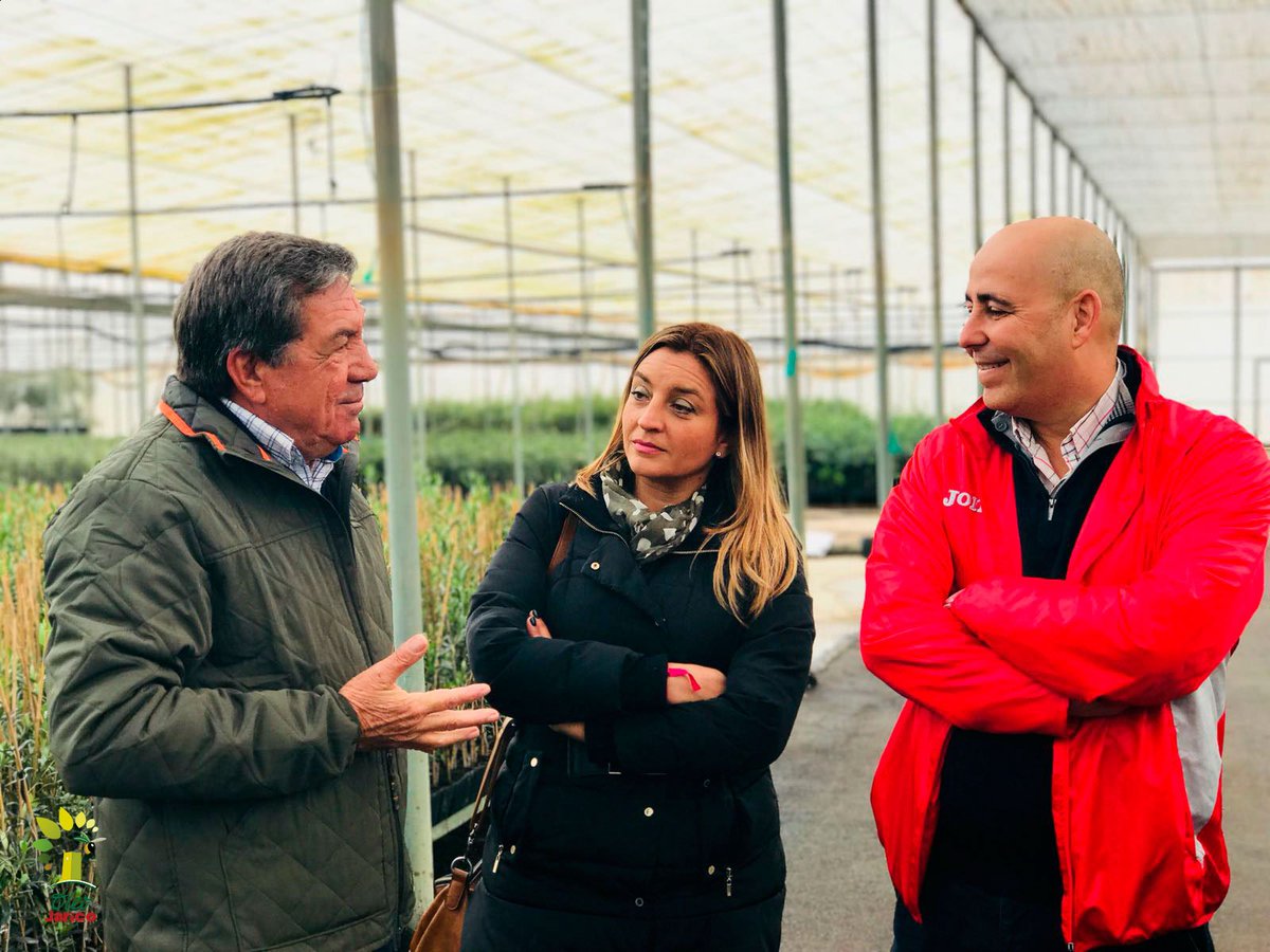 oleojarico's tweet photo. Visita institucional a los viveros y semilleros de olivos del grupo de empresas familiar #Jarico que cierra el ciclo de la producción de #AOVE en #HuércalOvera cc @saboresalmeria @AyHuercalOvera @dipalme_almeria #NuevaCampaña #OleoJarico https://t.co/a8ksvl3kns