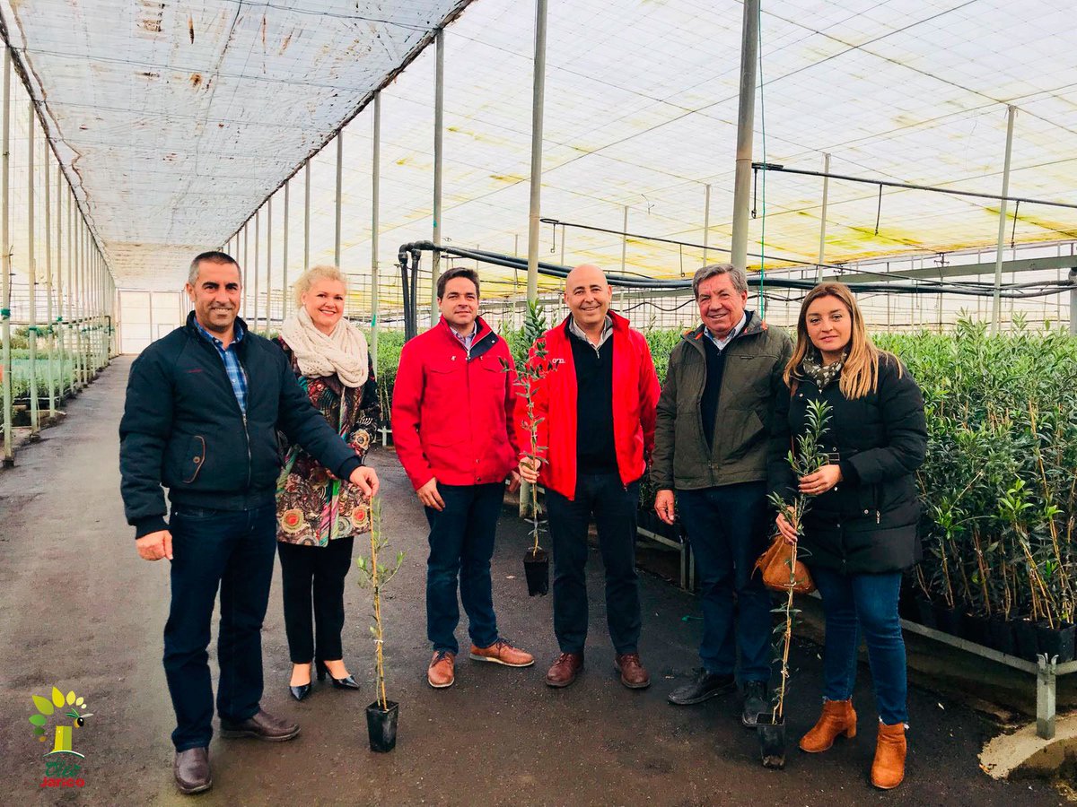 oleojarico's tweet photo. Visita institucional a los viveros y semilleros de olivos del grupo de empresas familiar #Jarico que cierra el ciclo de la producción de #AOVE en #HuércalOvera cc @saboresalmeria @AyHuercalOvera @dipalme_almeria #NuevaCampaña #OleoJarico https://t.co/a8ksvl3kns