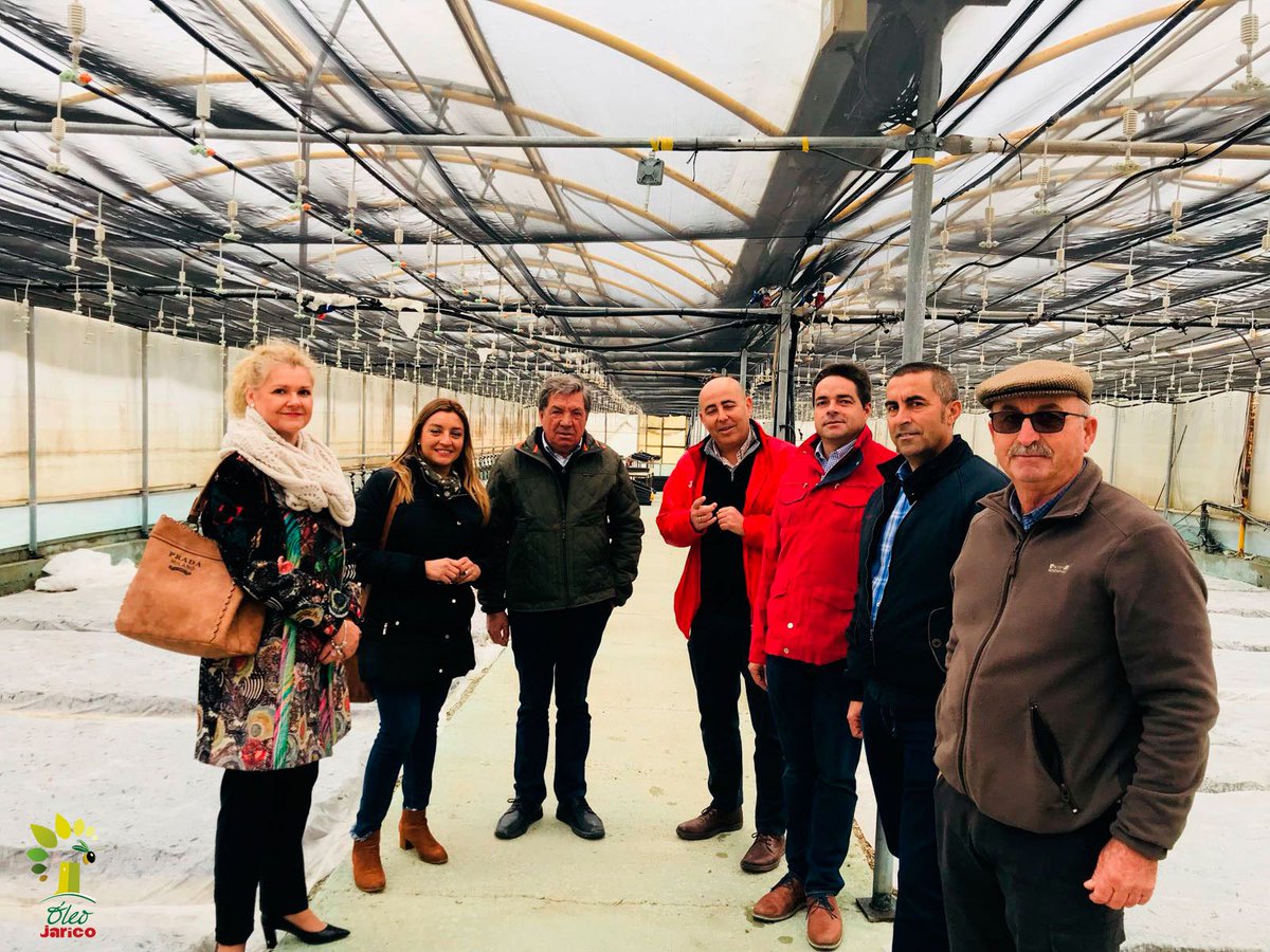 oleojarico's tweet photo. Visita institucional a los viveros y semilleros de olivos del grupo de empresas familiar #Jarico que cierra el ciclo de la producción de #AOVE en #HuércalOvera cc @saboresalmeria @AyHuercalOvera @dipalme_almeria #NuevaCampaña #OleoJarico https://t.co/a8ksvl3kns