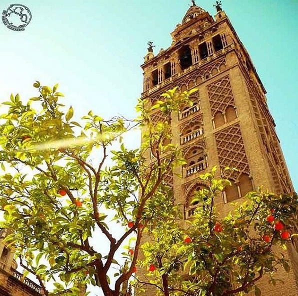 viveandalucia's tweet photo. Siempre ahí, imponente, bella, orgullosa, la Giganta de #Sevilla. https://t.co/Vc3LdDFHxa vía #Instagram cc @Sevilla_Turismo #viveandalucía #intensamente https://t.co/5y0JH28ayB
