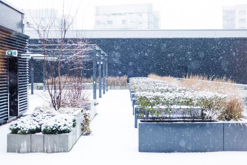 _JWilkinson_'s tweet photo. Not a bad view at @avivaplc offices in Warsaw. ⛄️ ⛄️ ❄️ ❄️ #streamingtanklive #streamingtank #livestreaming #liveu #digitalbroadcasting #digitalbroadcaster #liveevents #livebroadcasting #eventprofs #streamingtankontour #aviva #corporateevents #corporatecomms https://t.co/HbNWC1h9sU