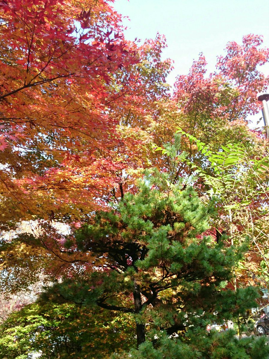 ainahi0620's tweet photo. 🐦🍃🌺🍃Twitterで繋がって🍃🌺🍃🐦
🐦🍃🌺くださっている皆様へ🌺🍃🐦

😢いつも温かいお言葉や♥🔃😢
🙇🍃ありがとうございます🍃🙇
🌺とても嬉しく励みになっています🌺

携帯を触れる時間がなかなか取れず皆様のところへお伺い出来ず😢又お返事が滞ってしまって本当に申し訳ありません🙇 https://t.co/QeP3oDvnoS