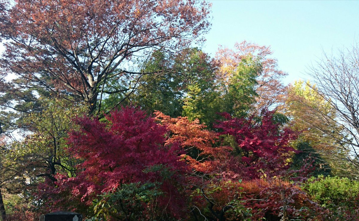ainahi0620's tweet photo. 🐦🍃🌺🍃Twitterで繋がって🍃🌺🍃🐦
🐦🍃🌺くださっている皆様へ🌺🍃🐦

😢いつも温かいお言葉や♥🔃😢
🙇🍃ありがとうございます🍃🙇
🌺とても嬉しく励みになっています🌺

携帯を触れる時間がなかなか取れず皆様のところへお伺い出来ず😢又お返事が滞ってしまって本当に申し訳ありません🙇 https://t.co/QeP3oDvnoS