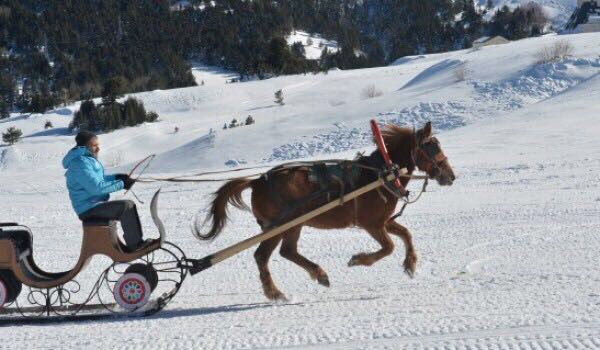 gsdfofficial's tweet photo. Yoğun kar yağışı alan bazı doğu illerimiz de ‘Atlı Kızaklar’ gündelik hayatta ulaşım aracı olarak aktif bir şekilde kullanıldığını biliyor musunuz ?  #Gsdf #gsdf2017 @Kazancihakan https://t.co/fKfMQTn2Ms
