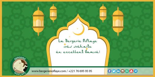 bergerienoflaye's tweet photo. La Bergerie NOFLAYE vous souhaite un excellent #Gamou ! #kebetu #senegal 
 https://t.co/7YwXK8xPsb https://t.co/1hvMrHC1xE