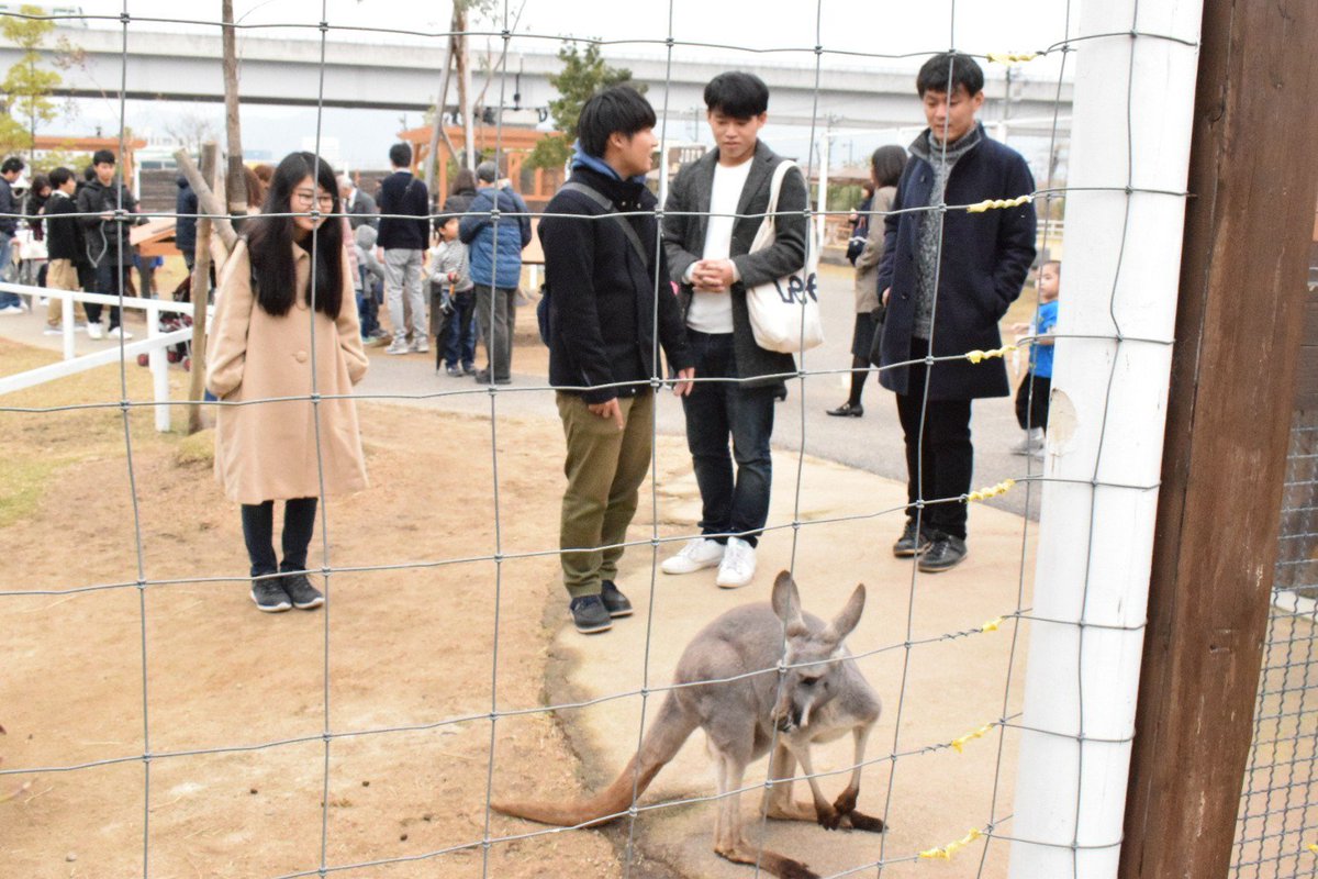 camera_bukai's tweet photo. 11.26@神戸どうぶつ王国
カメラ部会×合同班ミ
どうぶつに癒された後は中華街に行き食べ歩きもしました🍥
カメラ部会にも待望の一年生が入部したということで現在全学年がカメラ部会に所属してます😳😳 https://t.co/0XUvFlazxH