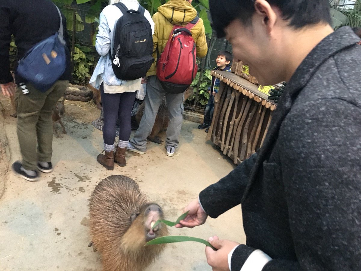 camera_bukai's tweet photo. 部員募集中！ https://t.co/BzjOVZem0L