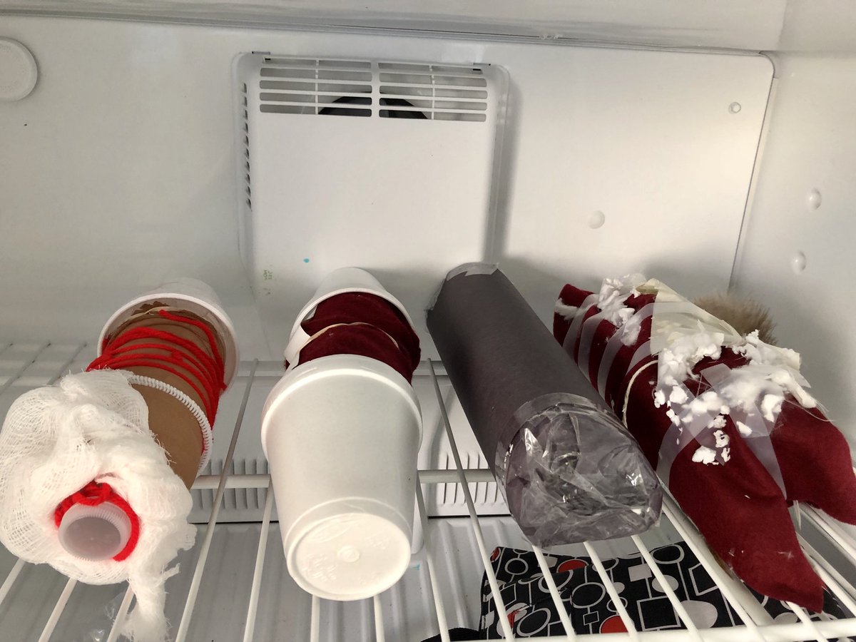 PHerediaEDU's tweet image. Our "animals" all bundled up &amp;amp; before they went into the long cold night. #grawild #gra17 #thewildrobot