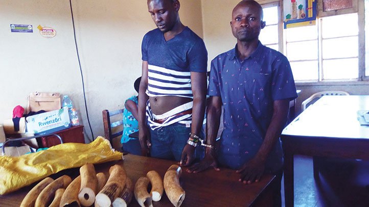 <a href="/CITES/">CITES</a> @CITESCoP17 <a href="/Tourismuganda/">The East African Executive Traveler</a> <a href="/CITESCoP18/">CITES CoP18</a> <a href="/GorillaTrekking/">Gorilla Tracking</a> <a href="/CitesUniesFR/">Cités Unies France</a> <a href="/TumwesigyeC/">Charles Tumwesigye</a> <a href="/chemongesab/">CHEMONGES sabilla</a> <a href="/MTWAUganda/">Ministry of Tourism-Uganda</a> <a href="/UNGeneva/">United Nations Geneva</a> Fight against poaching &amp; #wildlifetrafficking just got the biggest &amp; much-needed boost! USD20 million new funding from EU, Germany &amp; UK for #ICCWC announced today at #CITES standing committee #SC69 meeting in #Geneva #Switzerland - End illegal #wildlifetrade <a href="/John_CITES/">John CITES</a>