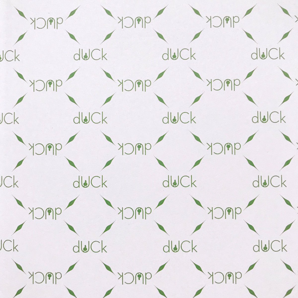 ThedUCkGroup tweet media