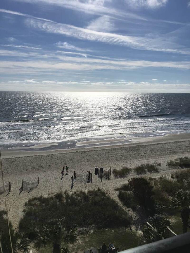 asomers18's tweet photo. My friend William is a finalist in Compass Cove Resort's Photo Contest- help rally votes: https://t.co/DZ3SvK3dUf @CompassCoveMB https://t.co/STIUZ4kMF5