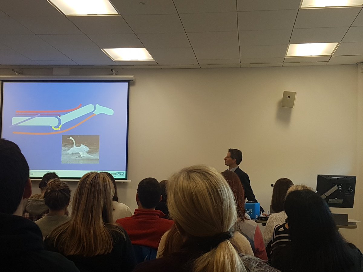 Pulvertafthands's tweet photo. Amazing teaching this morning on fractures, soft tissues, flexors and extensors....now onto an afternoon of practical workshops. Thanks to our sponsors @AllardUSA @Jobskinlimited @manosplint @Beagletalk https://t.co/WO5oJuyCm8