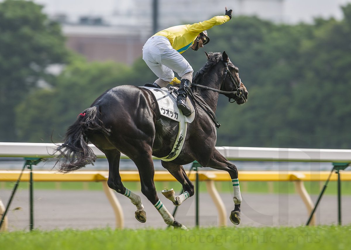週刊ギャロップ当選品　ウォッカ　生写真　四位騎手サイン入り　日本ダービー 週刊ギャロップ当選品 ウォッカ 生写真 四位騎手サイン入り 日本