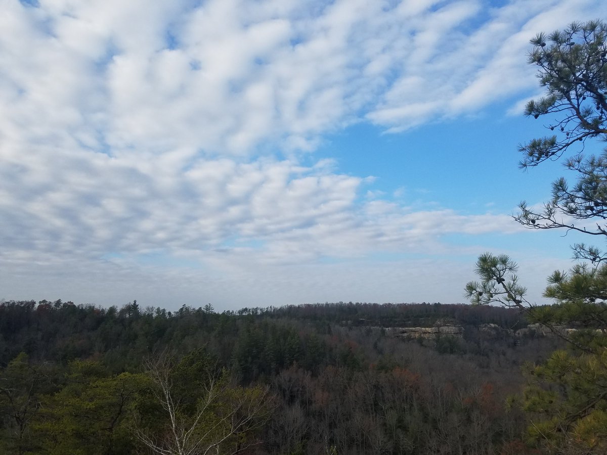 HikingRRG's tweet photo. The weather in #RedRiverGorge has been perfect for #hiking. #OptOutside https://t.co/zOnHD4Q5n7