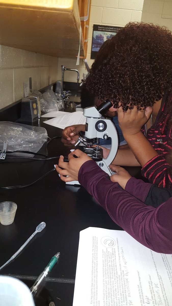 MrsLau170's tweet image. "If everyone is moving forward together, then success takes care of itself." -Henry Ford #collaboration #microscopelab #oneccps #betheU @lcbirdprincipal @MrsLayne101 @BioHawks2017