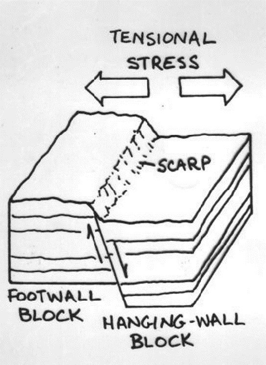 read Public Opinion, Transatlantic Relations and the Use
