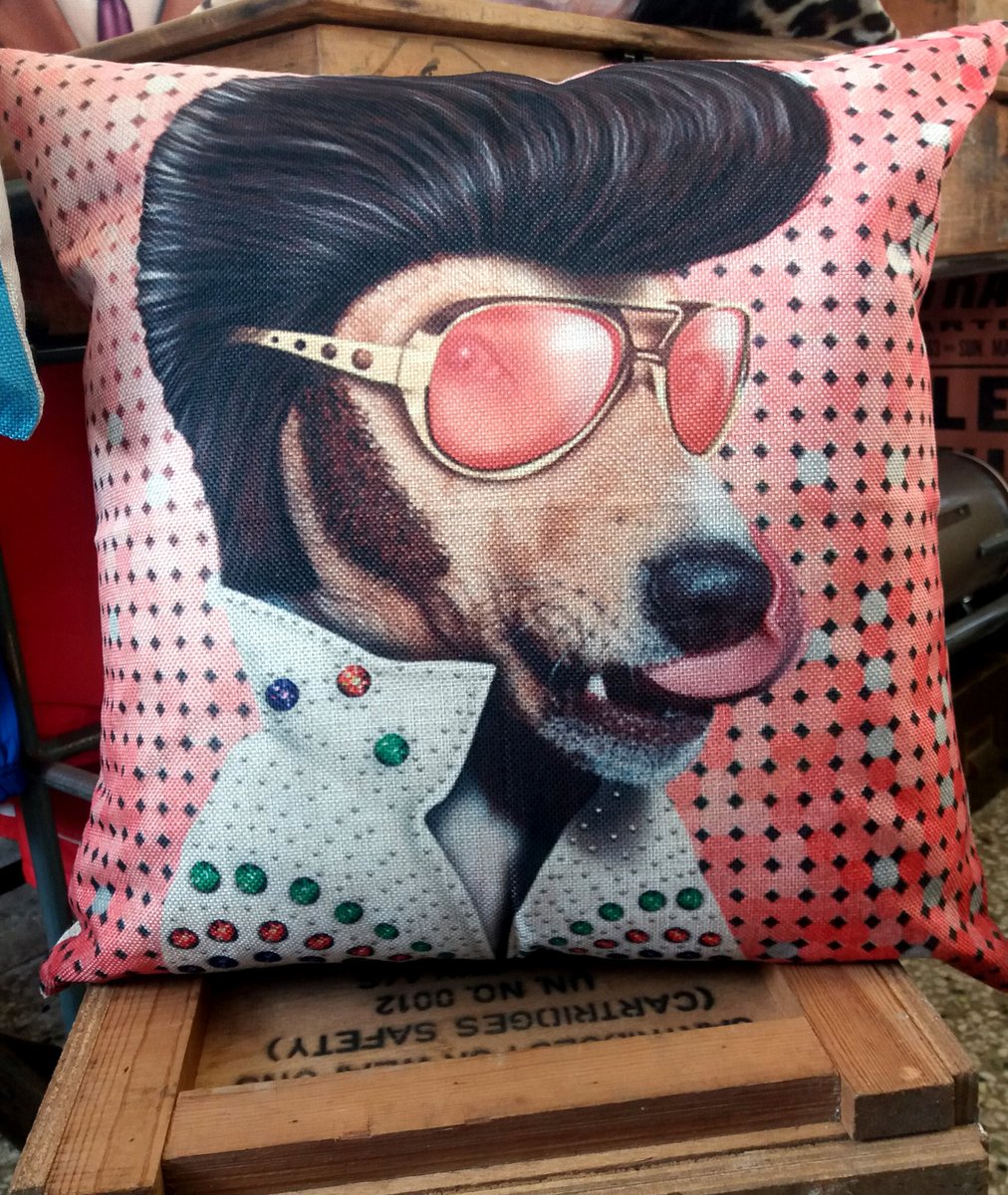 RecordsRelics's tweet photo. Loads of awesome cushions instore about 20 different designs here's a few of our favourites! #recordsandrelics #corkcity #christmasgifts https://t.co/KpV84Iro3t