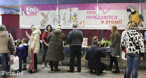 vitapolpoland's tweet photo. Przedstawiciel marki Lolo Pets oraz Vitapol był głównym sponsorem wystawy "Jesienne Sledoczki" w Mińsku na Białorusi.
#Vitapol #LoloPets #Hobby #Bydgoszcz #Białoruś #Mińsk https://t.co/QZZjzTSvnD