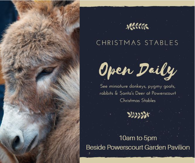 Powerscourt Estate على تويتر Come And See The Christmas Stables