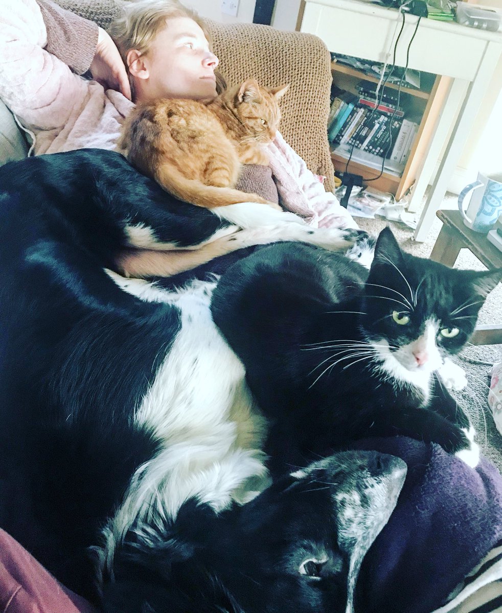 Kinda30Life's tweet photo. Staying warm on this #snow filled day with a #pet blanket! #dogsoftwitter #CatsOfTwitter #SnowWatch https://t.co/nvy6kuIATs