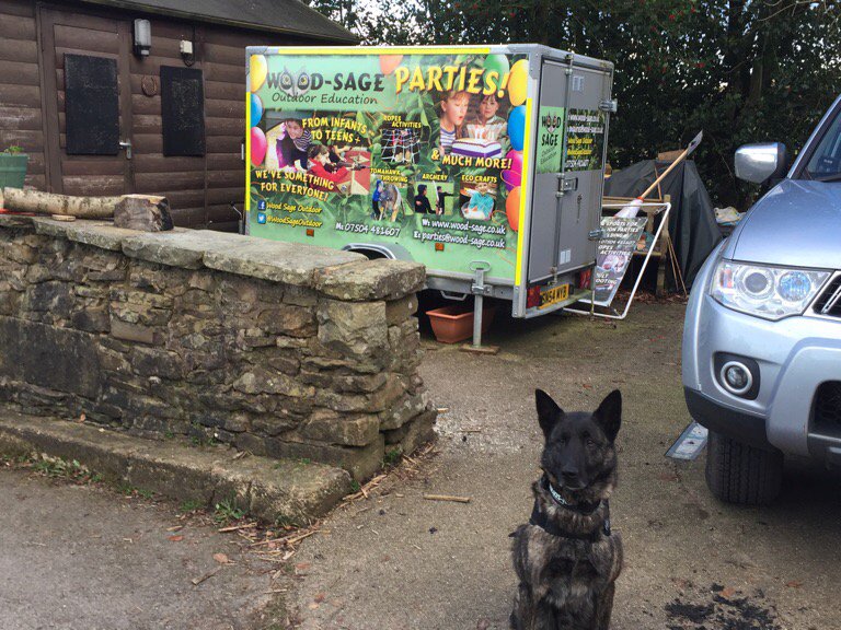 LancsPolDogUnit's tweet image. PD Zeus training at @BowleyCS @WoodSageOutdoor As part of his TFSD training