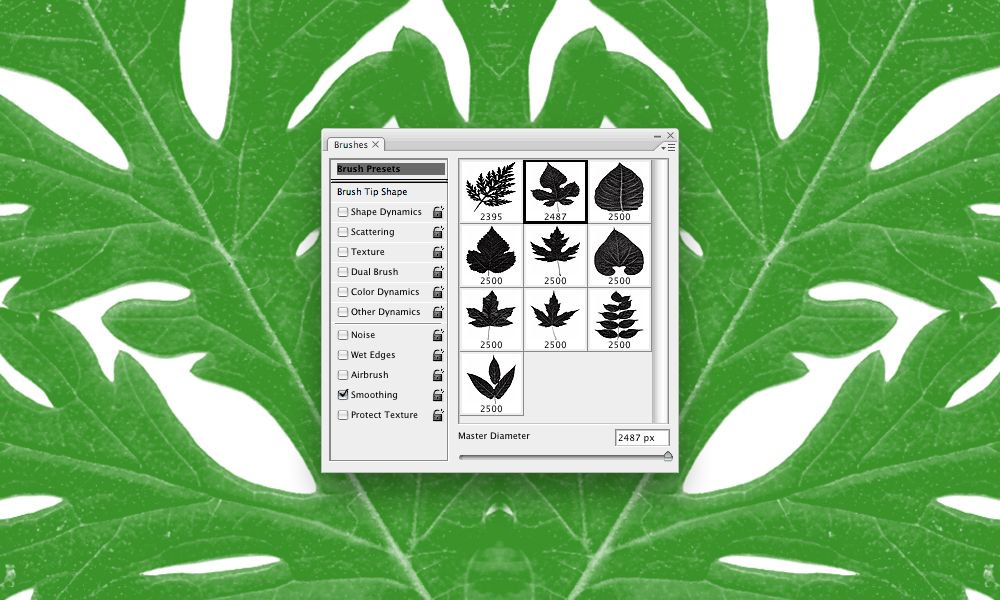Free High-Res #Photoshop Leaves Brushes buff.ly/2AoqoxH
