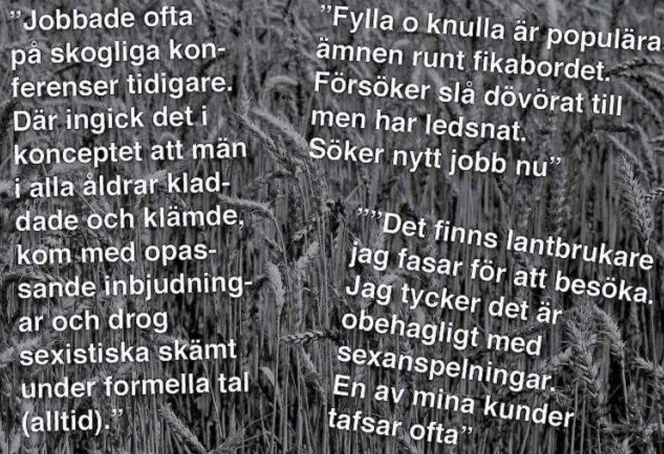 "Det finns lantbrukare jag fasar för att besöka": bit.ly/2zBQJos #skiljagnarnafrånvetet #MeToo #metoosweden