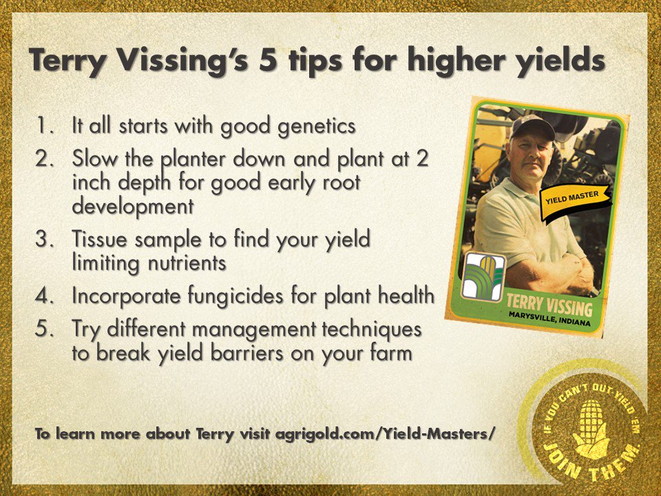 AgriGold's tweet photo. Yield Master, Terry Vissing shares with us his 5 Tips for Higher Yields.   To learn more about Terry visit https://t.co/J8btKK8bRK https://t.co/Wn6IcORZuP