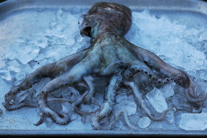 devonwoodsmoke's tweet photo. Mmmm this was epic! Octopus from @FishOnTheQuay simmered with garlic and herbs until tender then grilled with paprika, lemon and olive oil dressing until crisp on the edges on the @chefslocker Shichirin grill #eatmorefish #seafood https://t.co/SEILq4Gn6W
