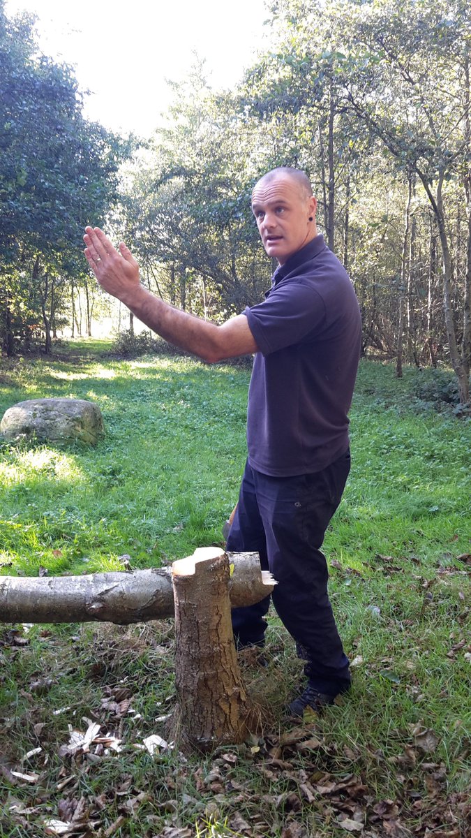 Saltscape tweet media