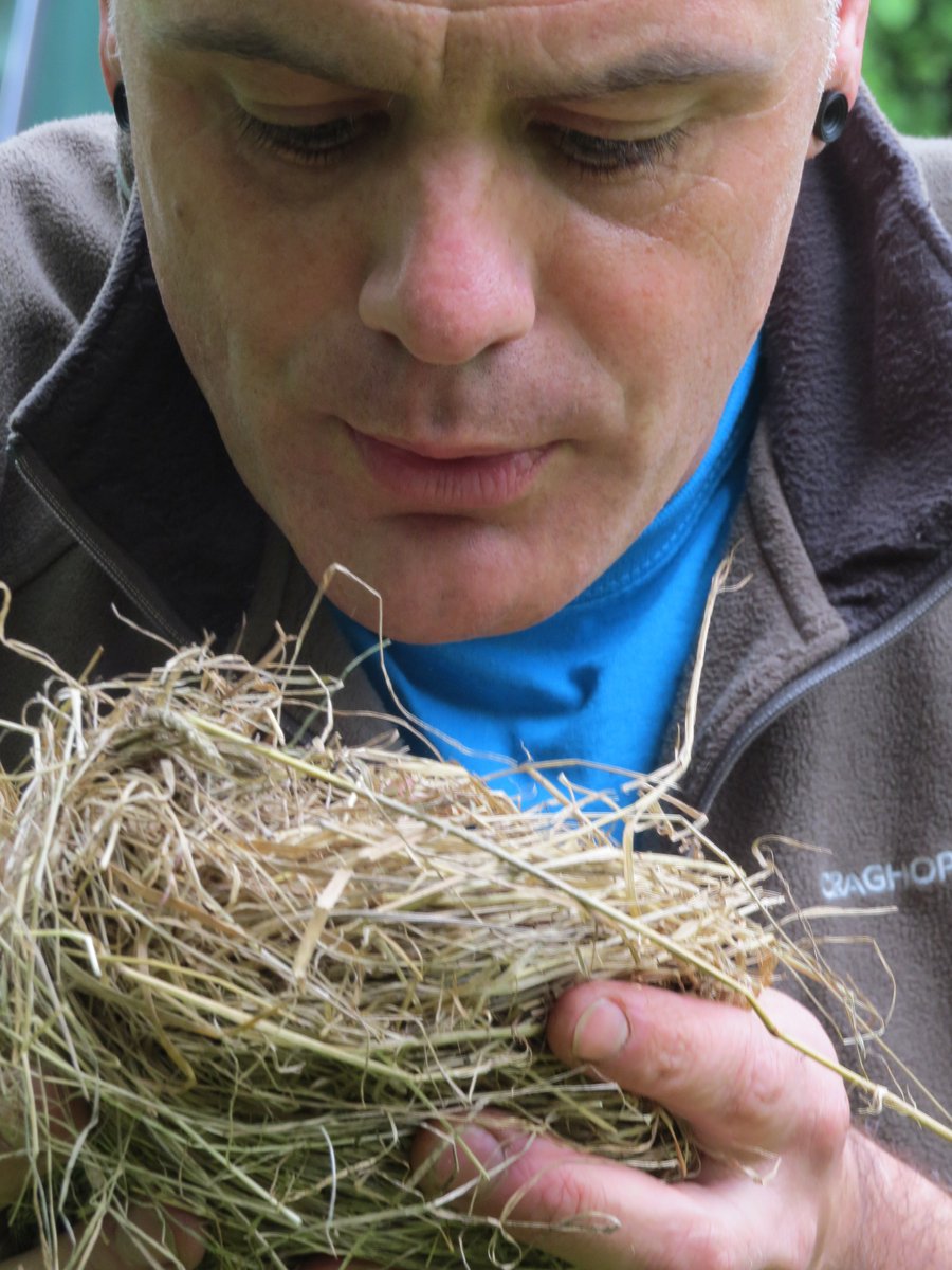 Saltscape tweet media