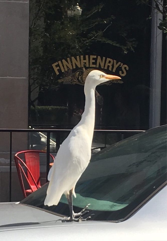 Waiting on the weekend like...