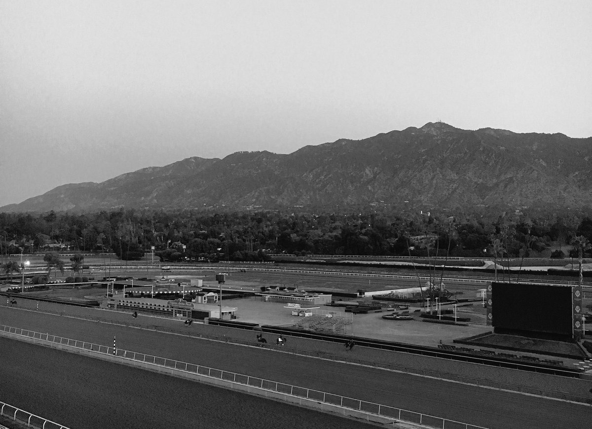 horseychickstar's tweet photo. How am I going to handle Kentucky if I'm freeezing my buns when it's 51F at Santa Anita π¬βοΈ #calibabies https://t.co/noH675r5ZO